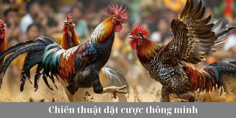 Bật mí chiến thuật đặt cược hiệu quả đến từ chuyên gia hàng đầu