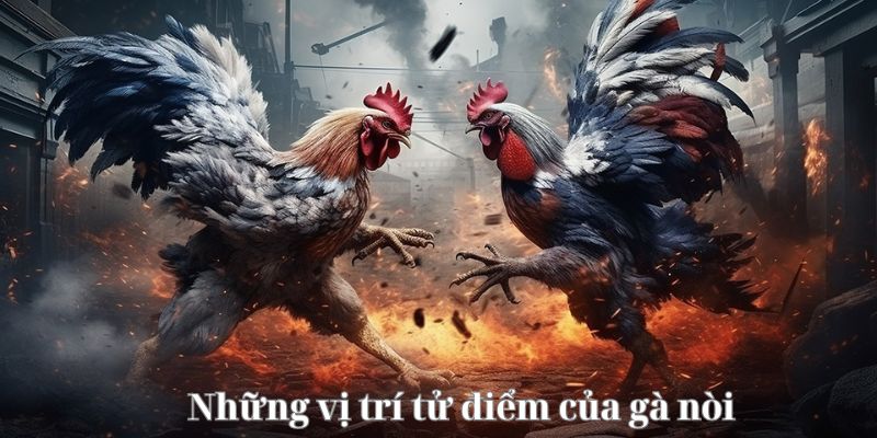 Tìm hiểu mức độ ảnh hưởng của đầu và cổ trong chiến đấu