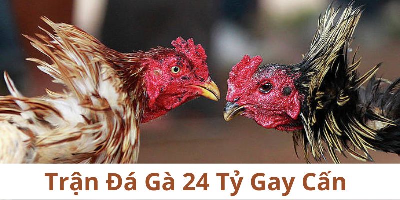 Các thông tin liên quan được tổng hợp chi tiết Các thông tin liên quan được tổng hợp chi tiết