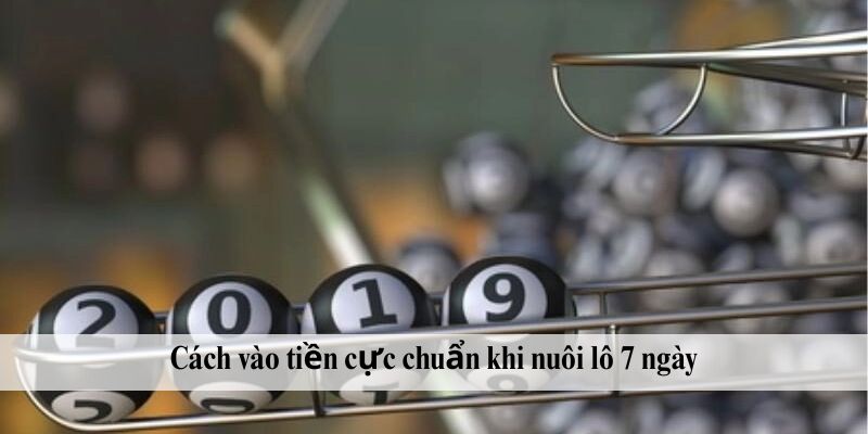 Cách vào tiền cực chuẩn khi nuôi lô 7 ngày