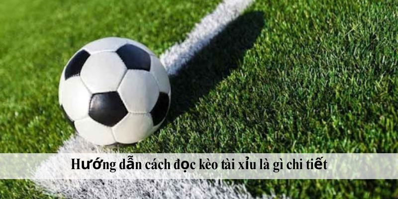 Hướng dẫn cách đọc kèo tài xỉu là gì chi tiết