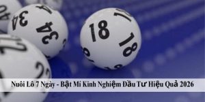 Nuôi Lô 7 Ngày - Bật Mí Kinh Nghiệm Đầu Tư Hiệu Quả 2026